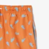 Boxers monocromáticos