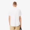 Camisa de manga curta em algodão com corte regular para homem