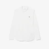 Camisa em popeline elástico de corte regular