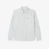 Camisa Oxford às riscas de corte regular para homem