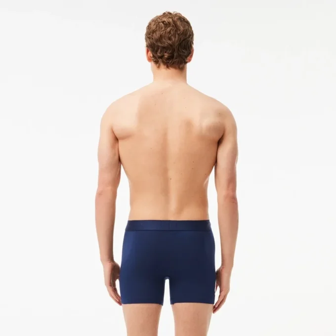 Conjunto de 3 boxers masculinos com cintura com crocodilo