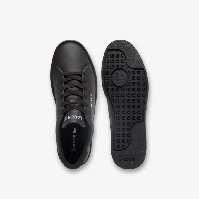 Sapatilhas de couro Courtderby para homem