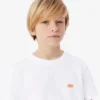T-shirt de algodão com estampado de crocodilo