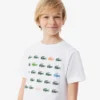 T-shirt de algodão com estampado de crocodilo