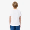 T-shirt de algodão com estampado de crocodilo