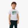 T-shirt de algodão com estampado gráfico