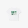 T-shirt de algodão com estampado gráfico