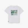 T-shirt de algodão com estampado gráfico