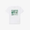T-shirt de algodão com estampado gráfico