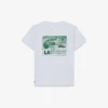 T-shirt de algodão com estampado gráfico