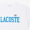 T-shirt de malha de algodão – Tamanhos grandes – Big