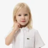 Vestido-camisa com saia plissada em popeline